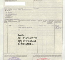 高清圖片代理服務詳解 提升視覺體驗的專業解決方案